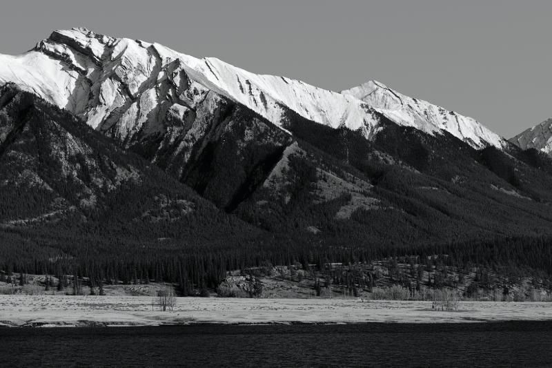 52_DSC_0064 mono.jpg - Abraham Lake AB 2008